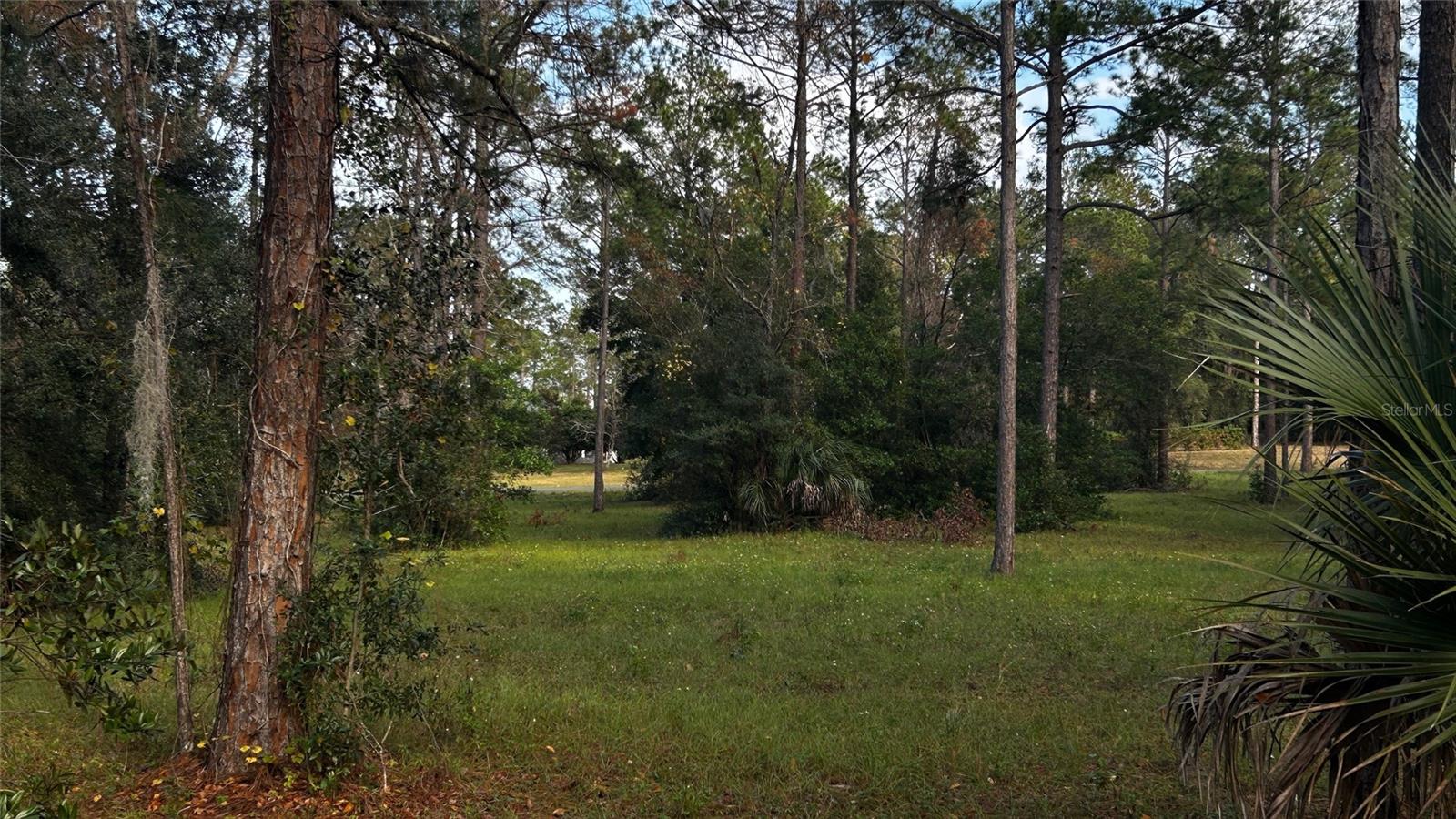 Image 10 of 14 For 35001 Pinegate Trail