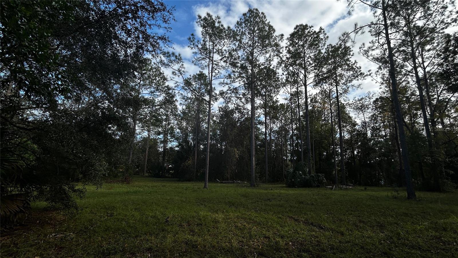 Image 11 of 14 For 35001 Pinegate Trail