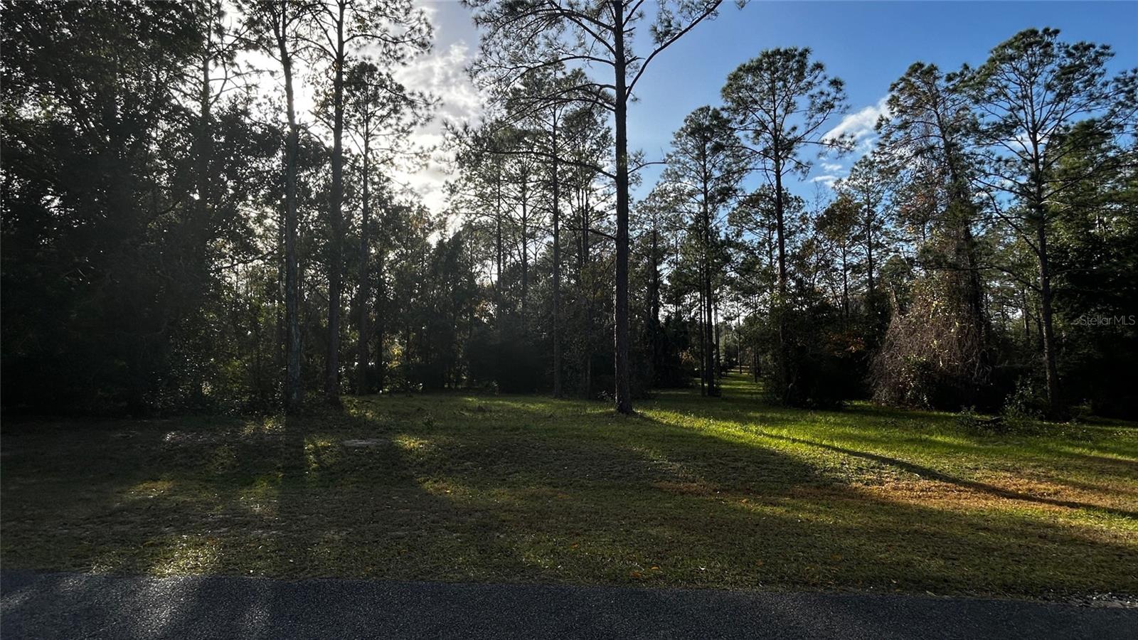 Image 14 of 14 For 35001 Pinegate Trail
