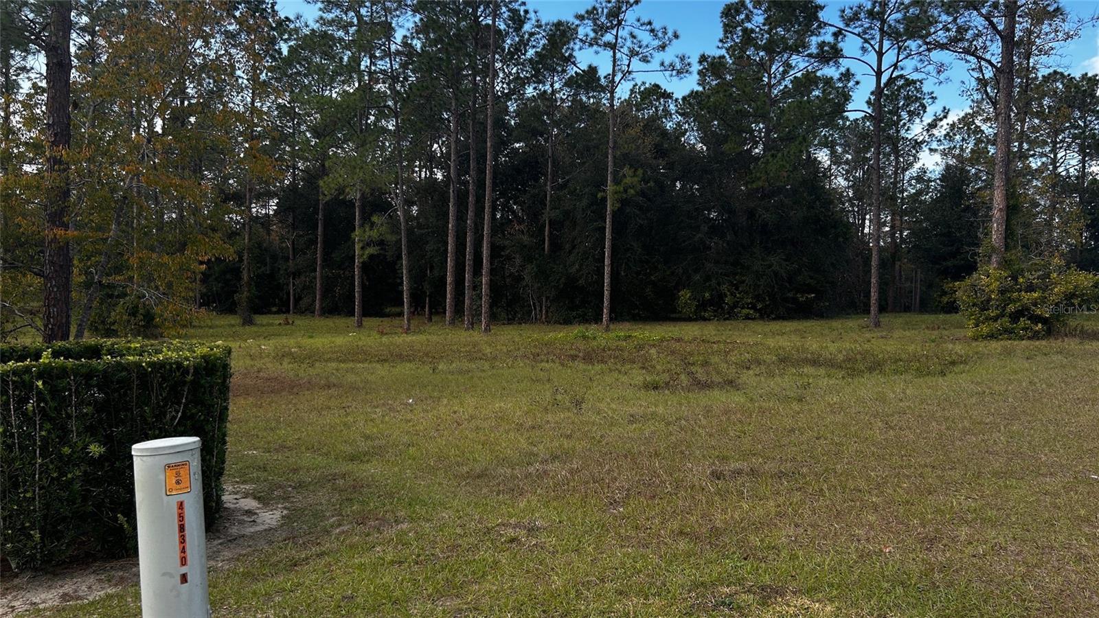 Image 4 of 14 For 35001 Pinegate Trail