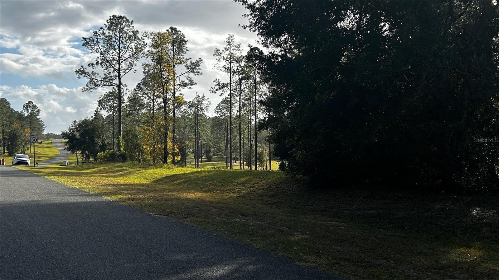 Image 5 of 14 For 35001 Pinegate Trail