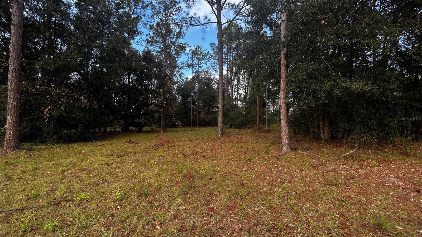 Image 7 of 14 For 35001 Pinegate Trail