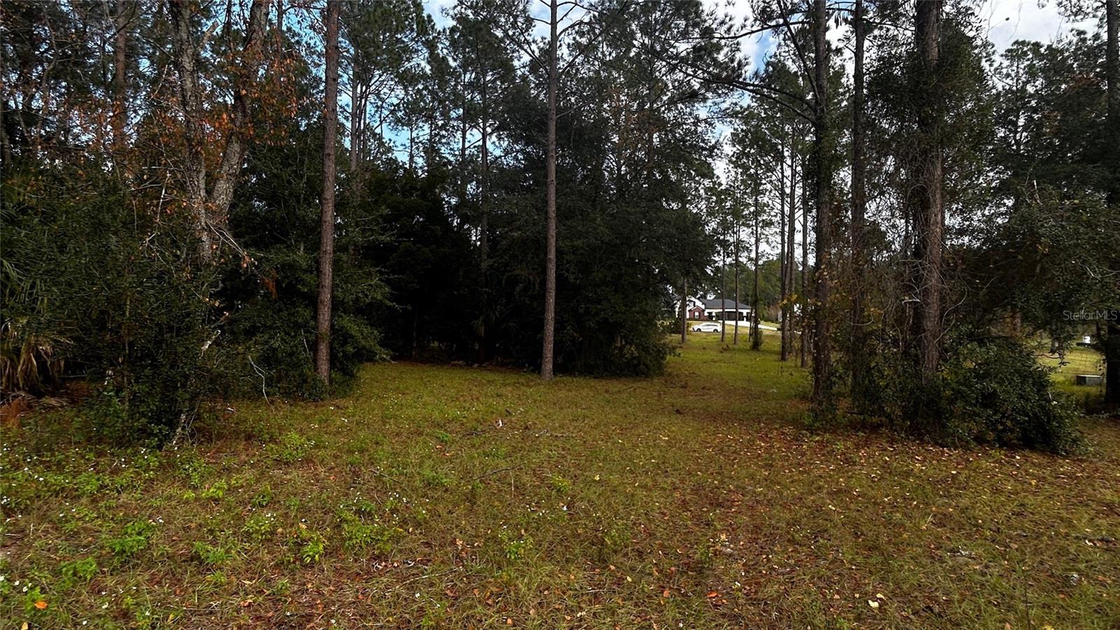 Image 8 of 14 For 35001 Pinegate Trail