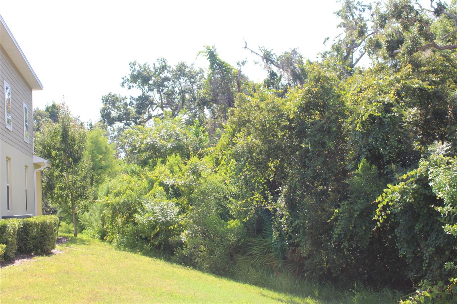 Image 8 of 42 For 2953 Jacob Crossing Lane
