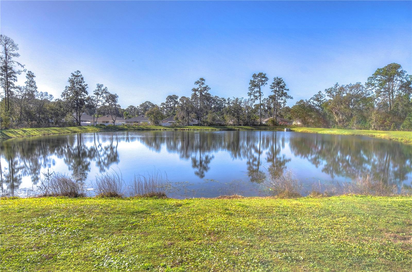 Listing photo id 6 for 30600 Thunderbird Drive