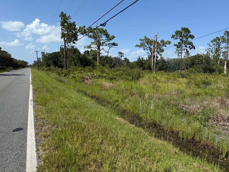 Details for Tiger Lake Road, LAKE WALES, FL 33898