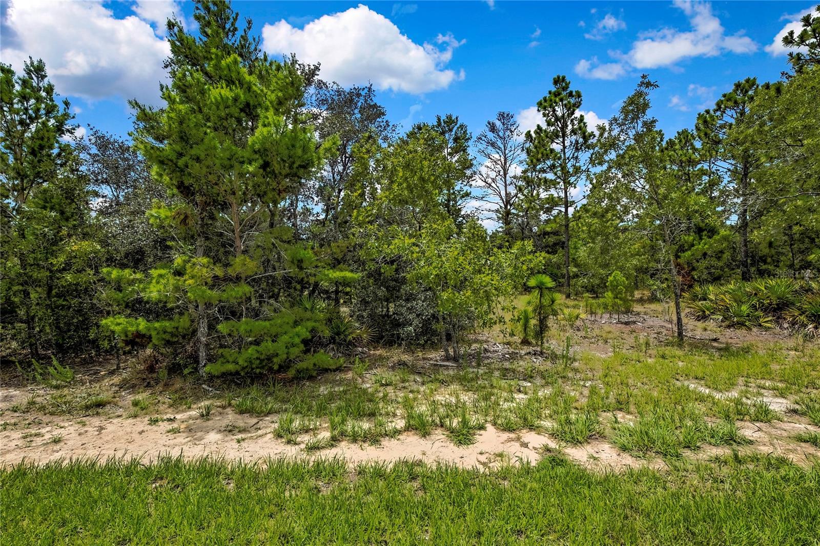 Listing photo id 34 for 15 Dahlia Court N