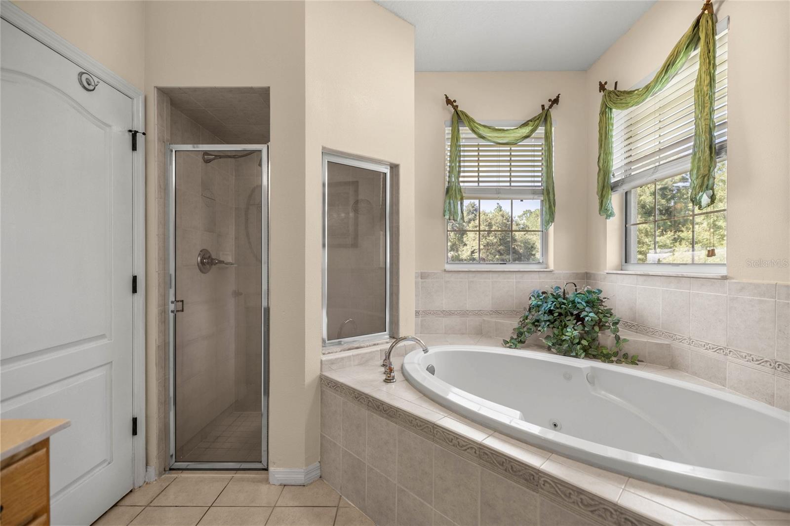Listing photo id 34 for 10264 Springtree Lane