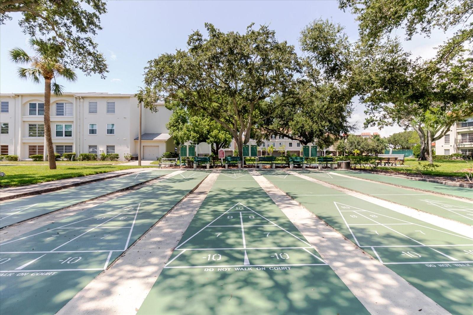 Image 39 of 65 For 2700 Bayshore Boulevard 5102