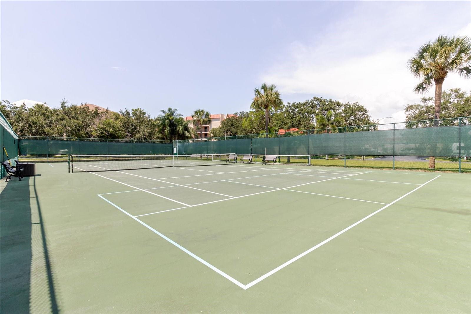 Image 41 of 65 For 2700 Bayshore Boulevard 5102