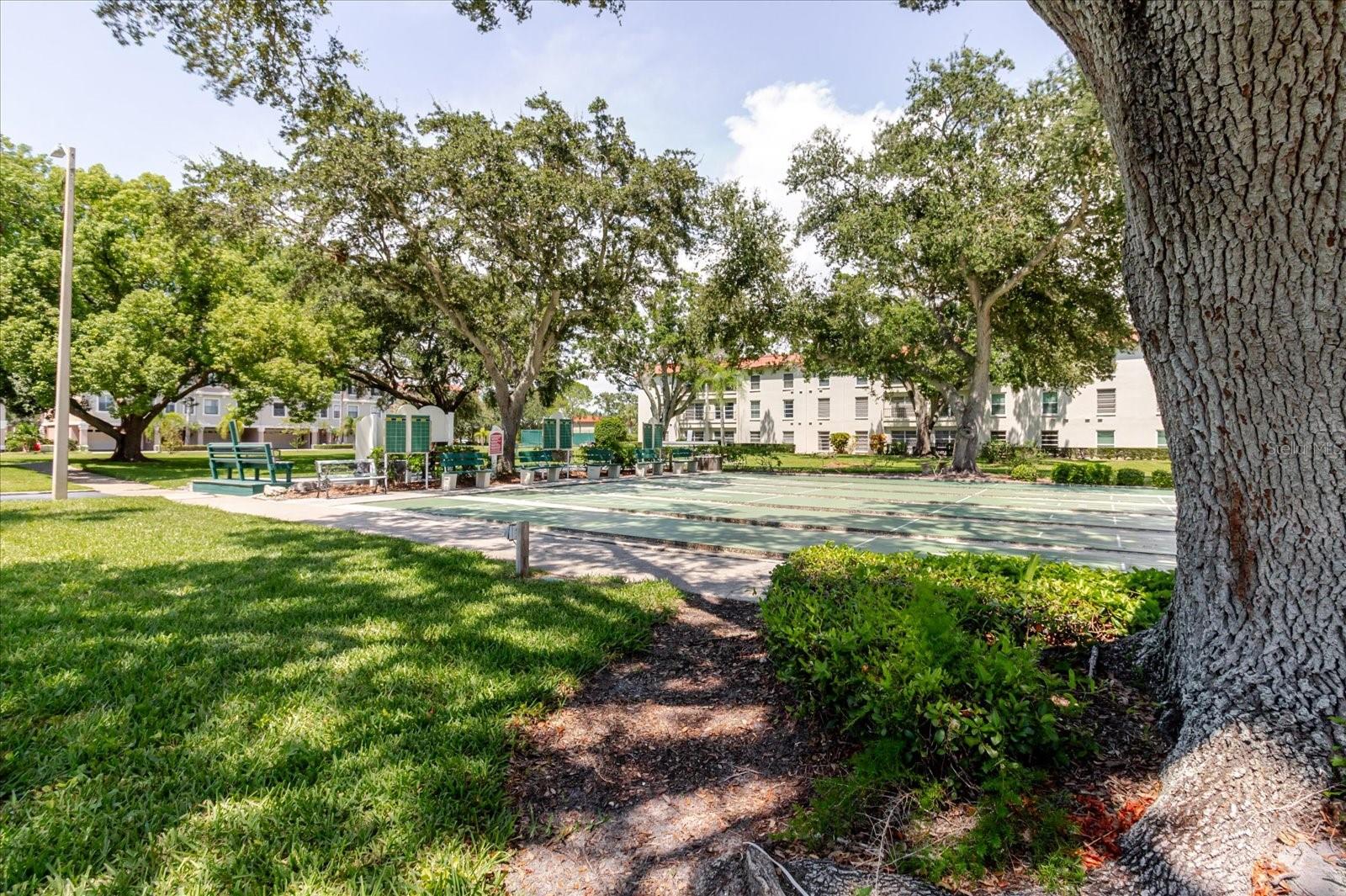 Image 43 of 65 For 2700 Bayshore Boulevard 5102