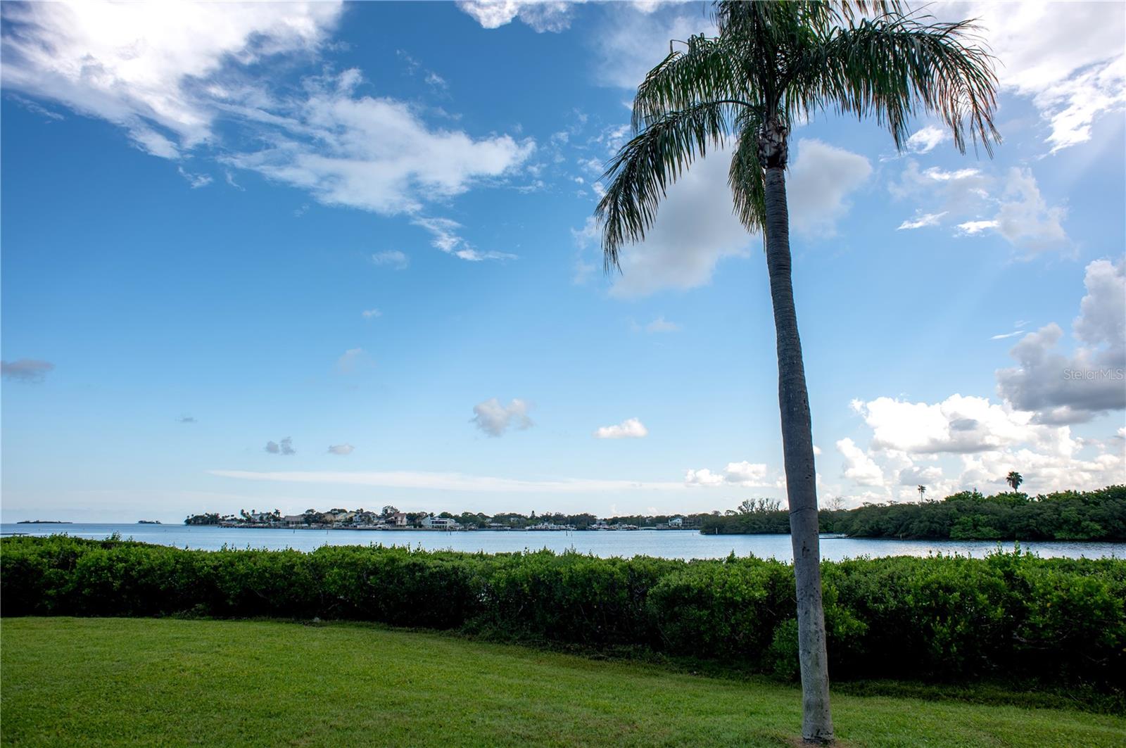 Image 32 of 37 For 2700 Bayshore Boulevard 592