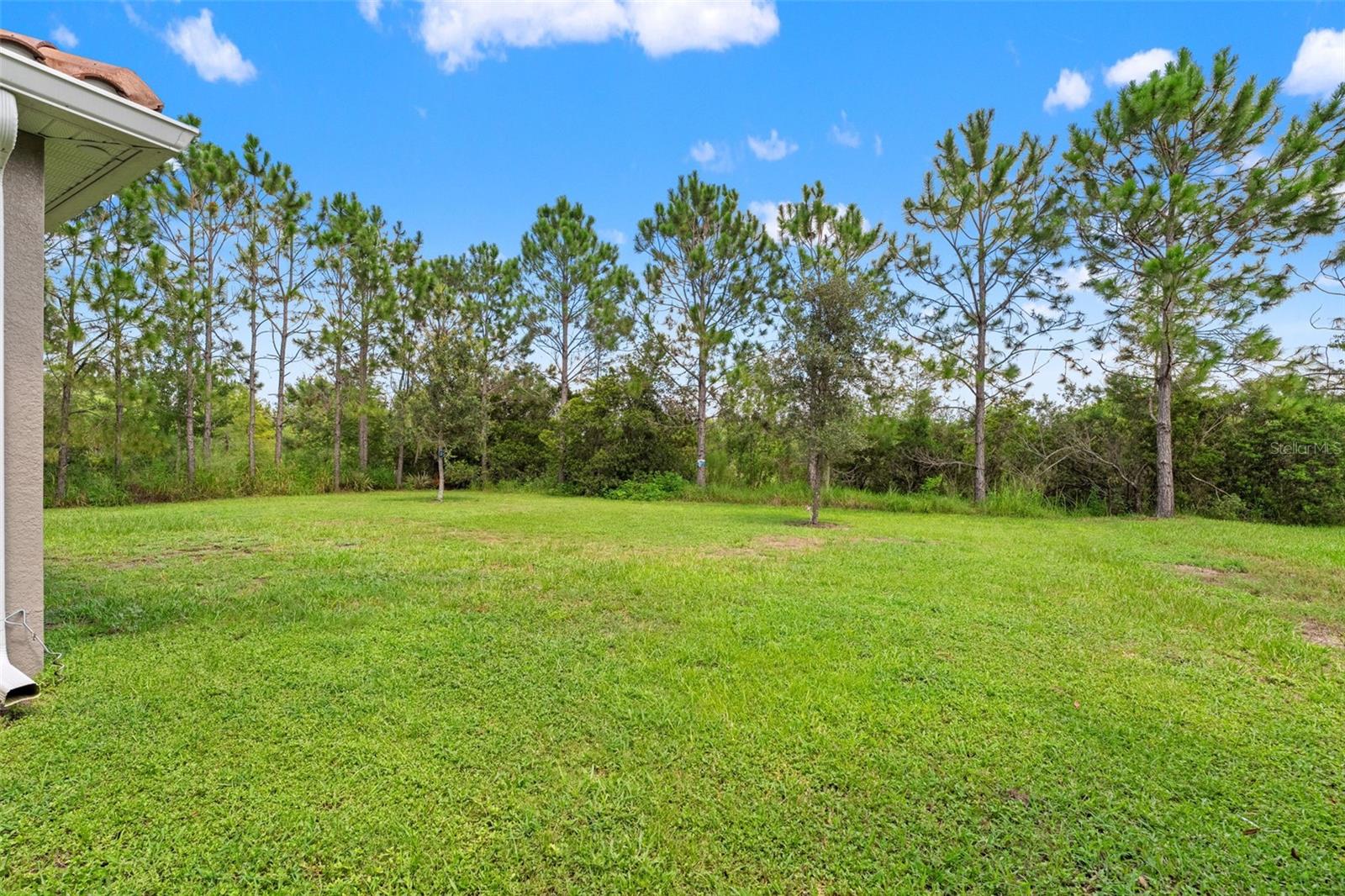 Listing photo id 6 for 32924 Estate Garden Drive