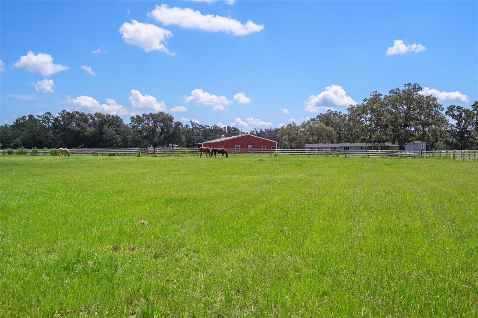 Image 48 of 48 For 88 Culbreath Road