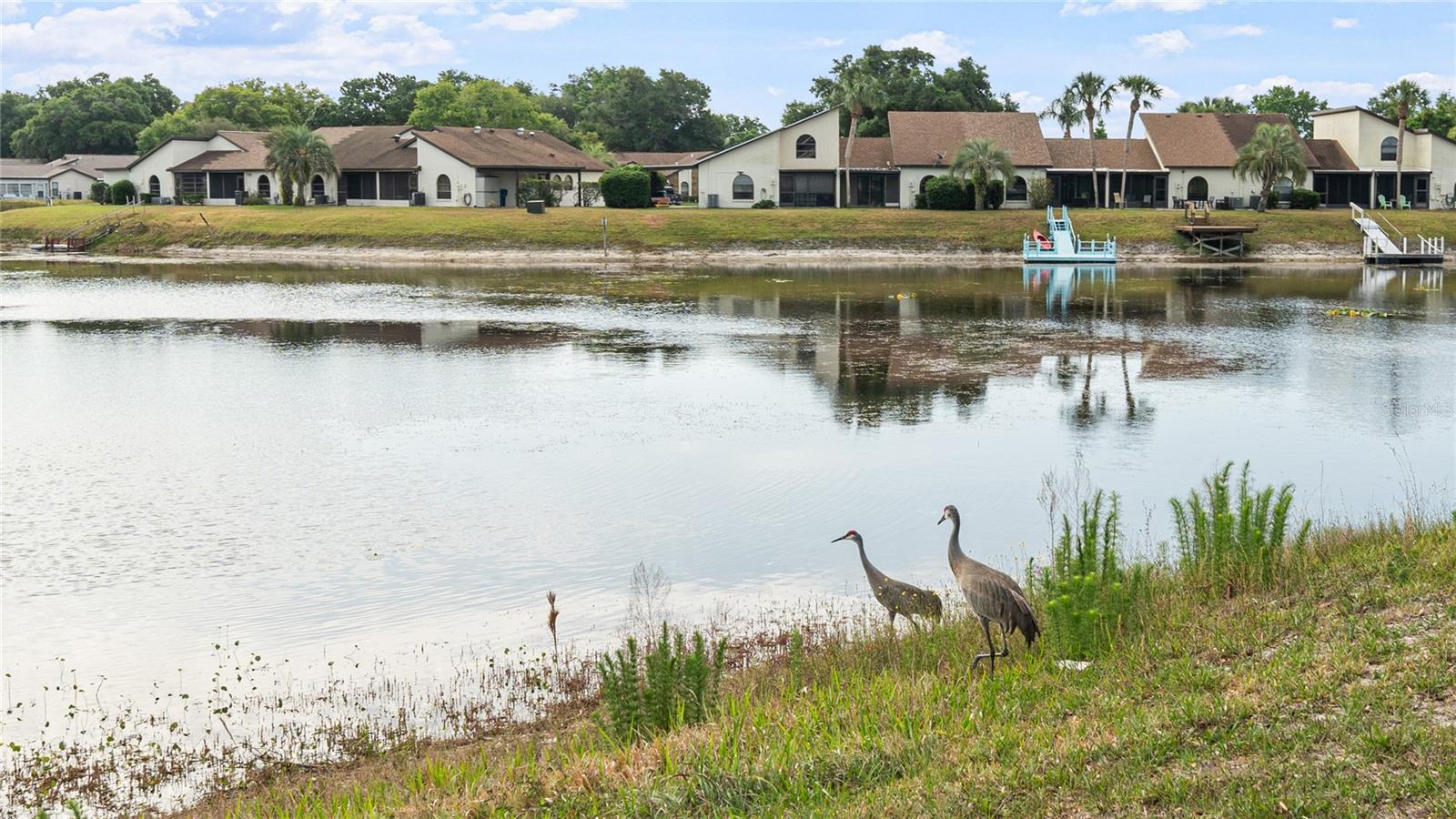 Image 11 of 12 For 8050 Roxburgh Court