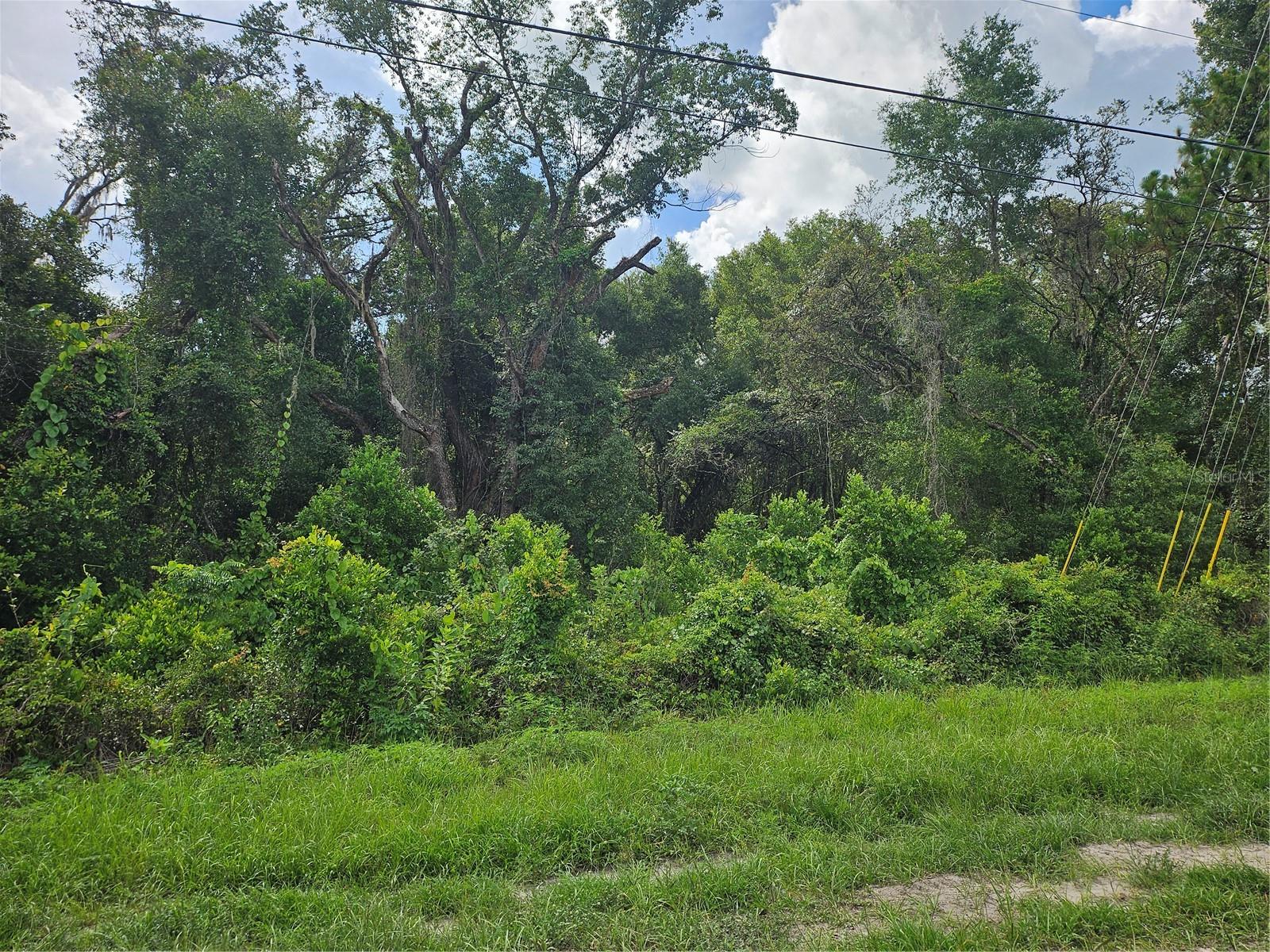 Details for Us Highway 41, SPRING HILL, FL 34610
