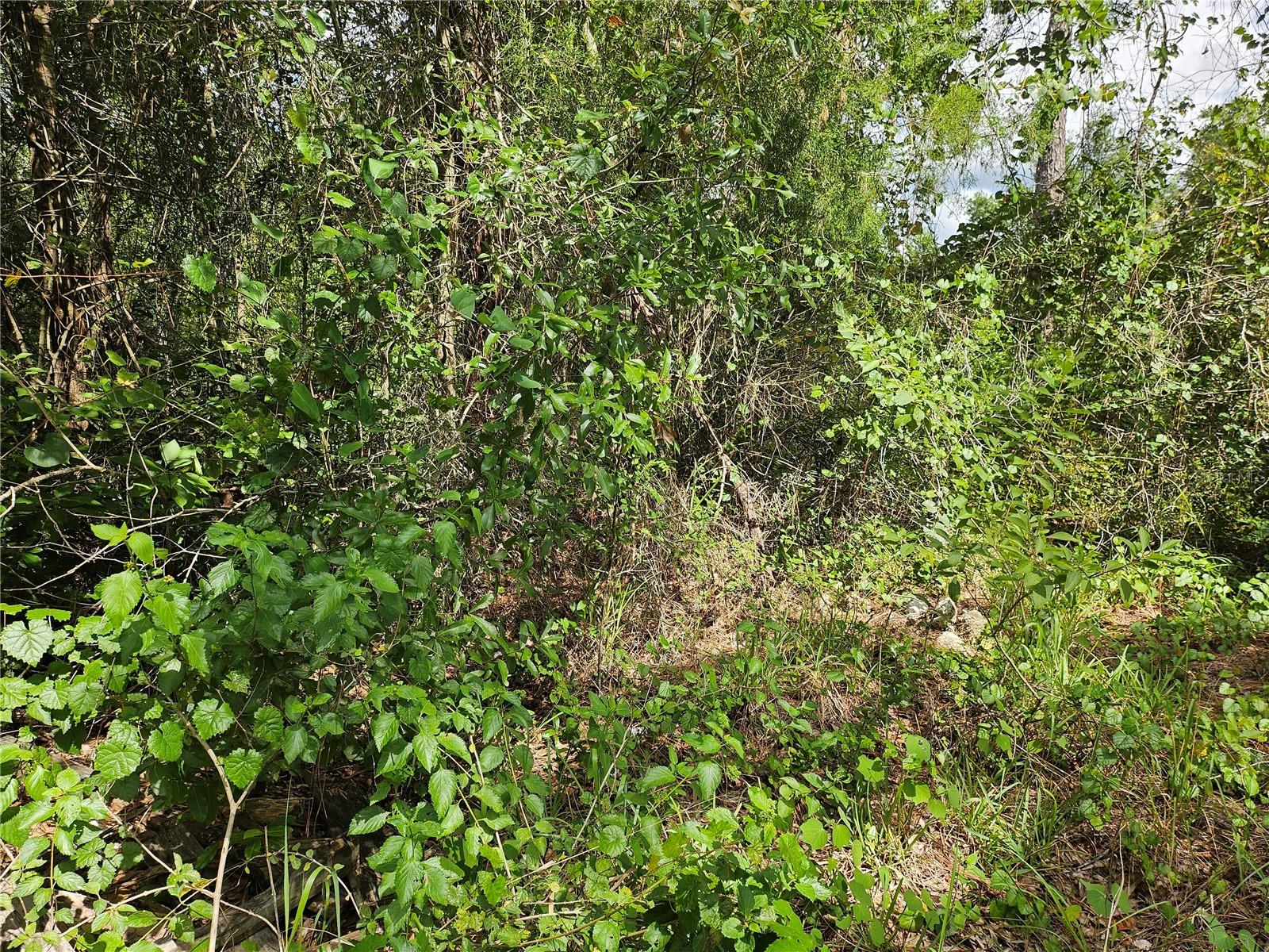 Image 5 of 6 For Us Highway 41