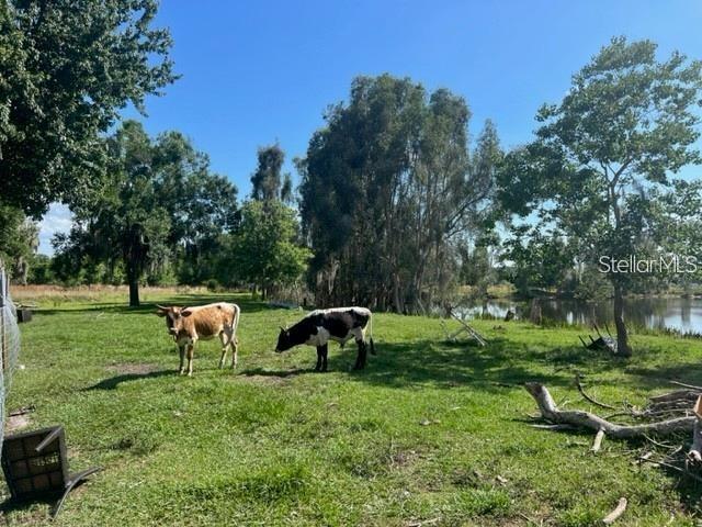 Image 6 of 12 For 1888 Druliner Road