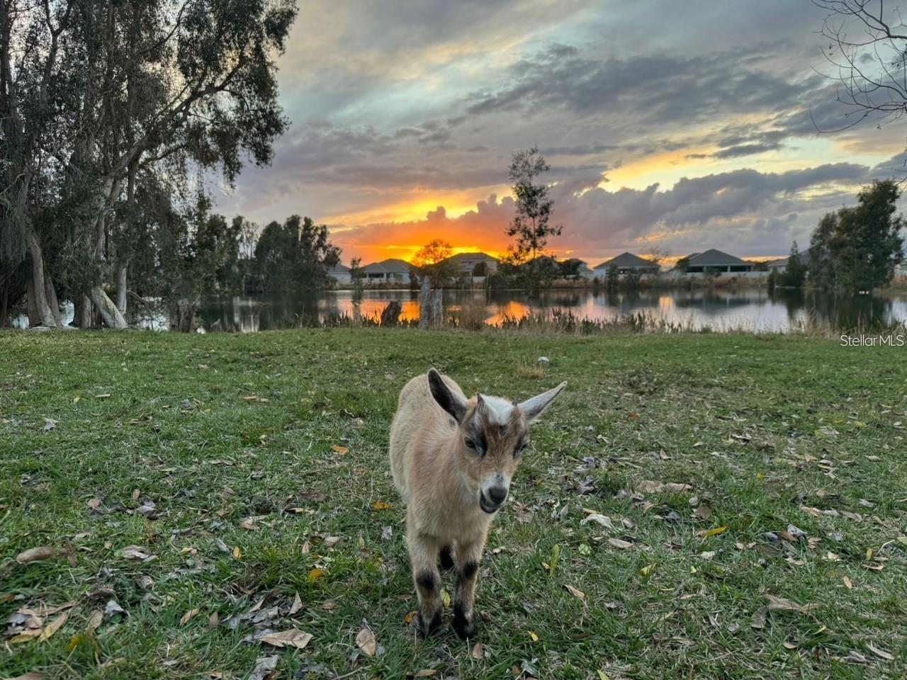 Image 9 of 12 For 1888 Druliner Road