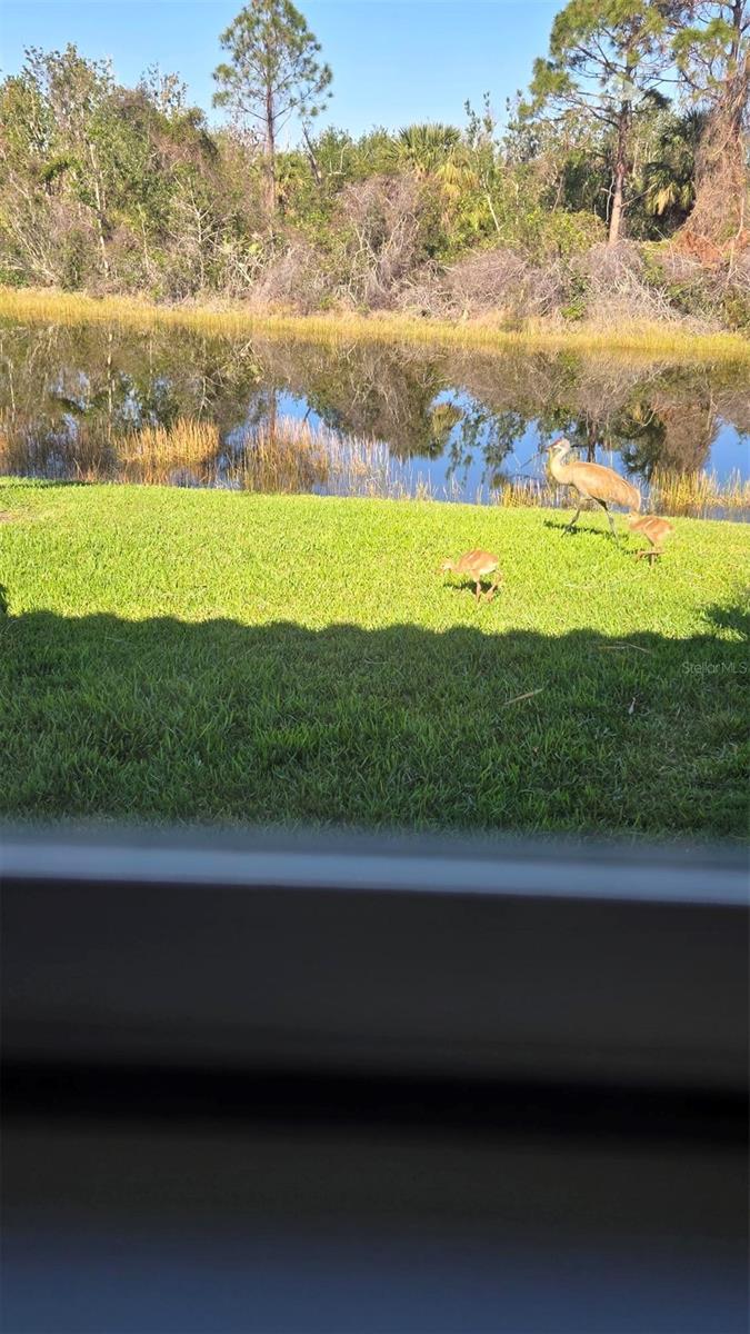 Image 4 of 32 For 803 Coral Bean Cove
