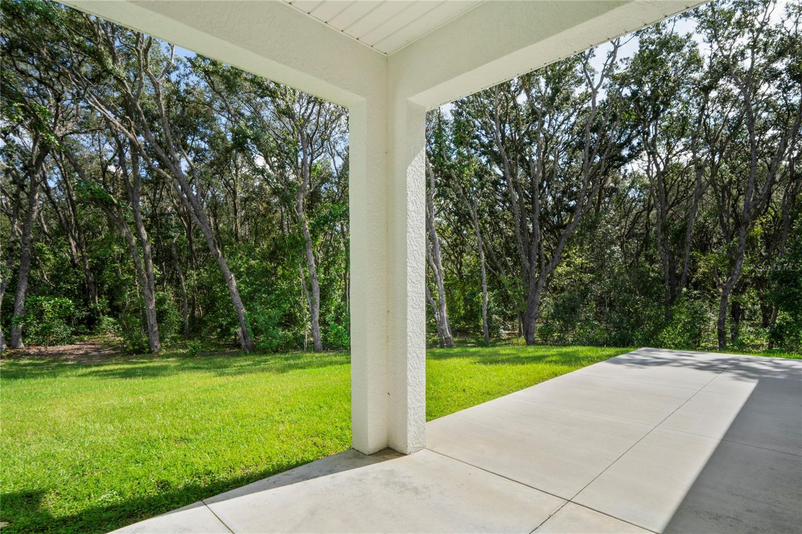 Image 40 of 62 For 279 Pearson Street