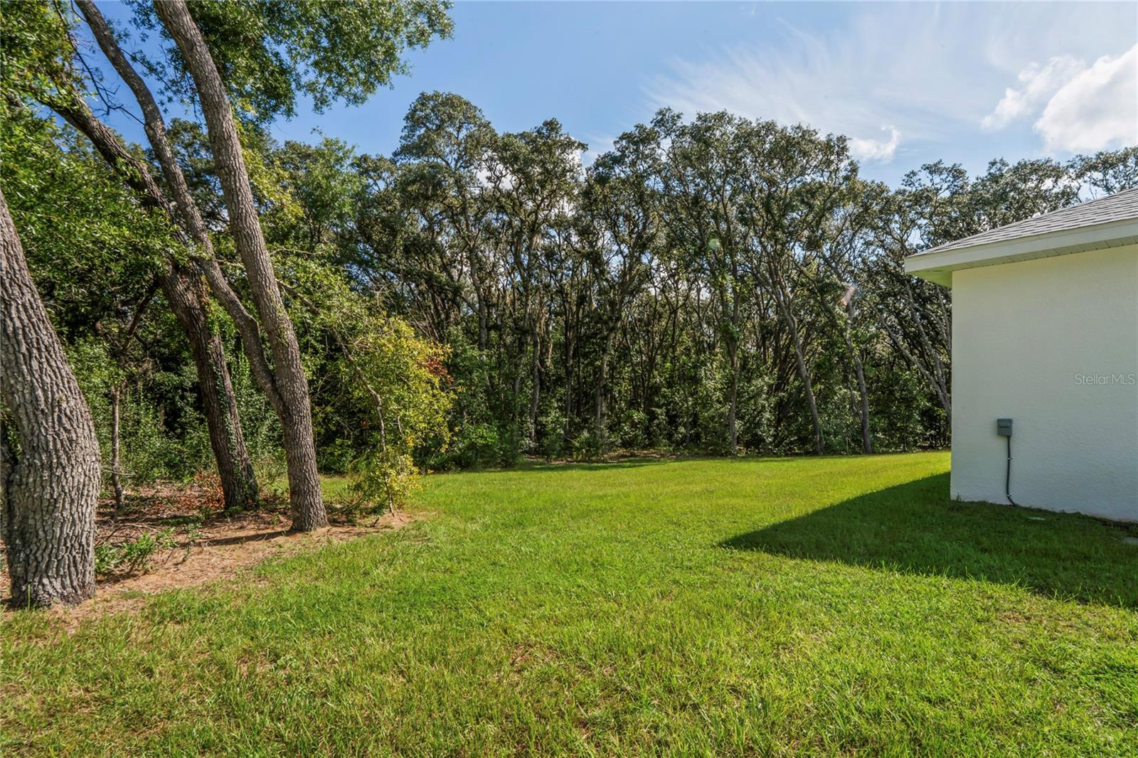 Image 44 of 62 For 279 Pearson Street