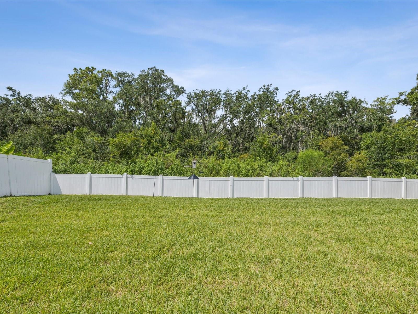 Listing photo id 31 for 12925 Satin Lily Drive