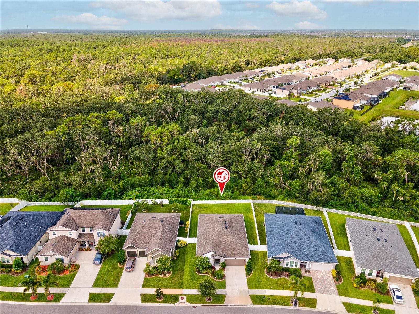 Listing photo id 36 for 12925 Satin Lily Drive
