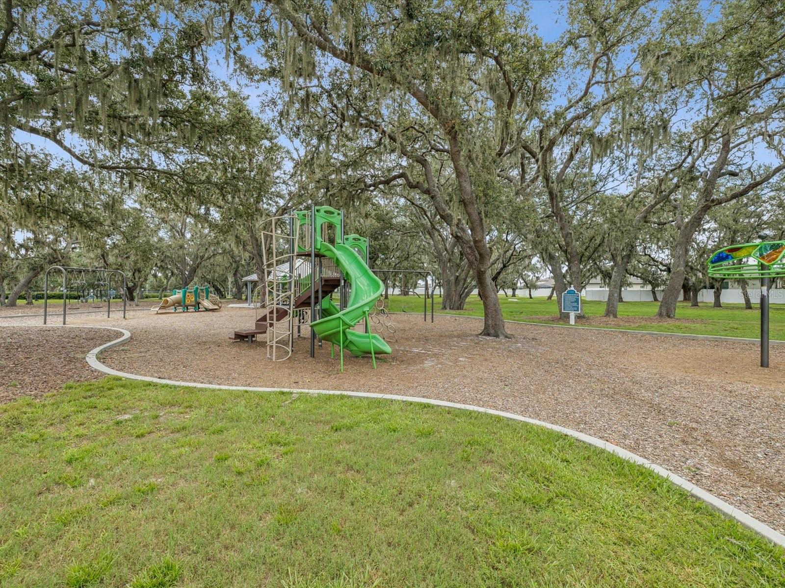 Listing photo id 47 for 12925 Satin Lily Drive