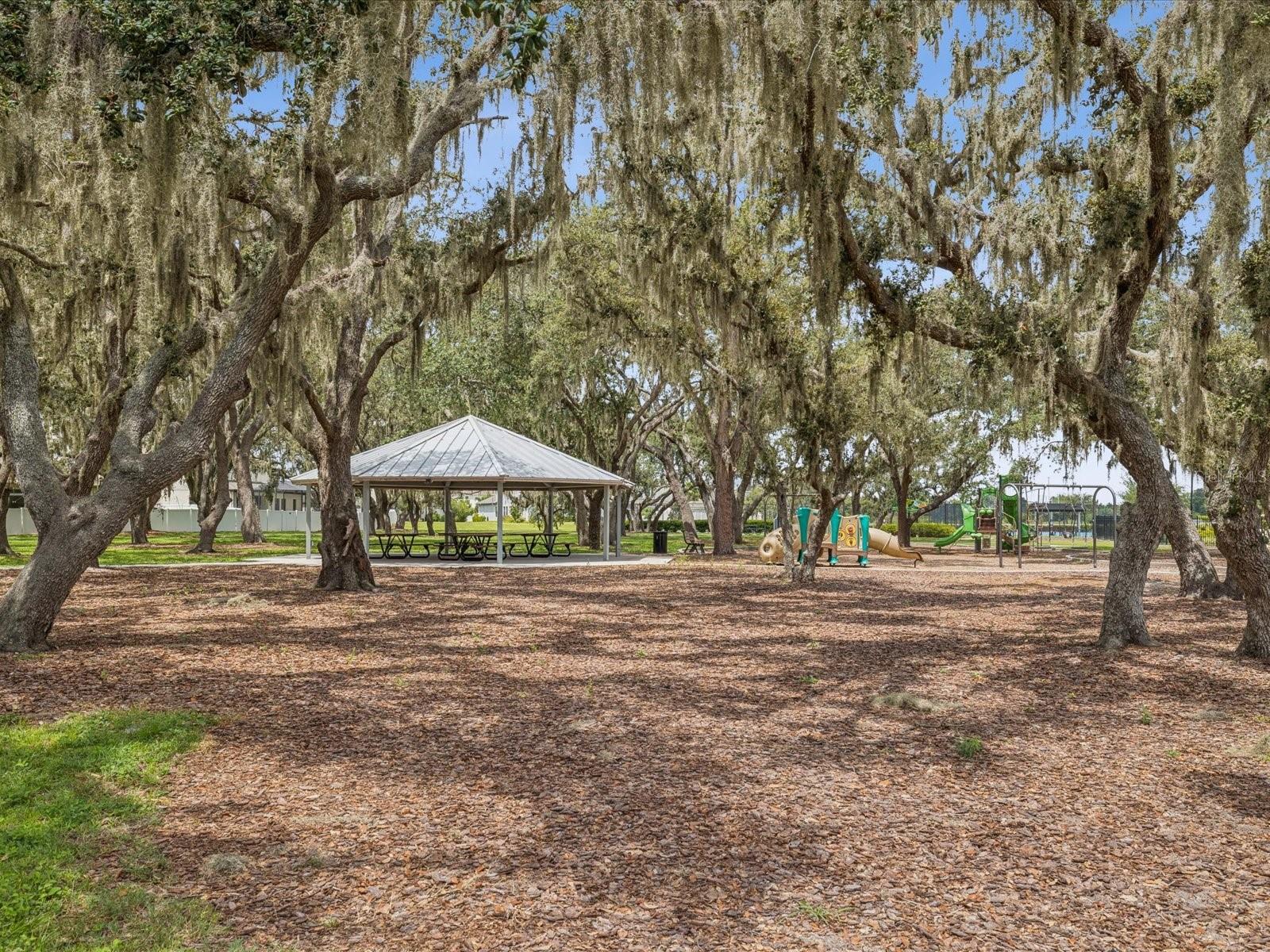Listing photo id 49 for 12925 Satin Lily Drive