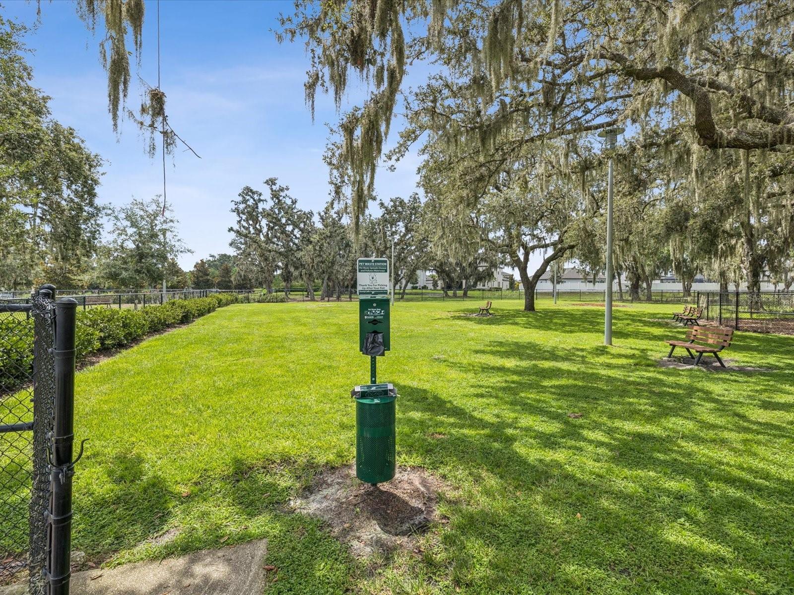 Listing photo id 50 for 12925 Satin Lily Drive