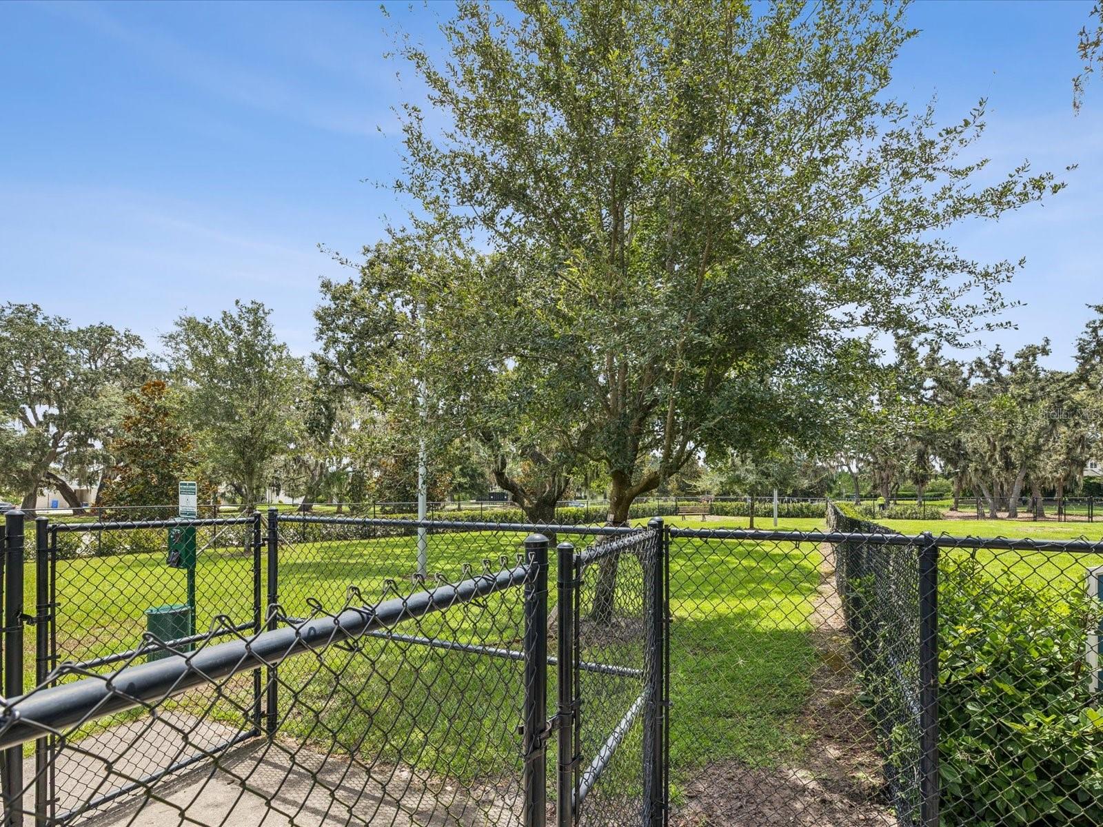 Listing photo id 51 for 12925 Satin Lily Drive