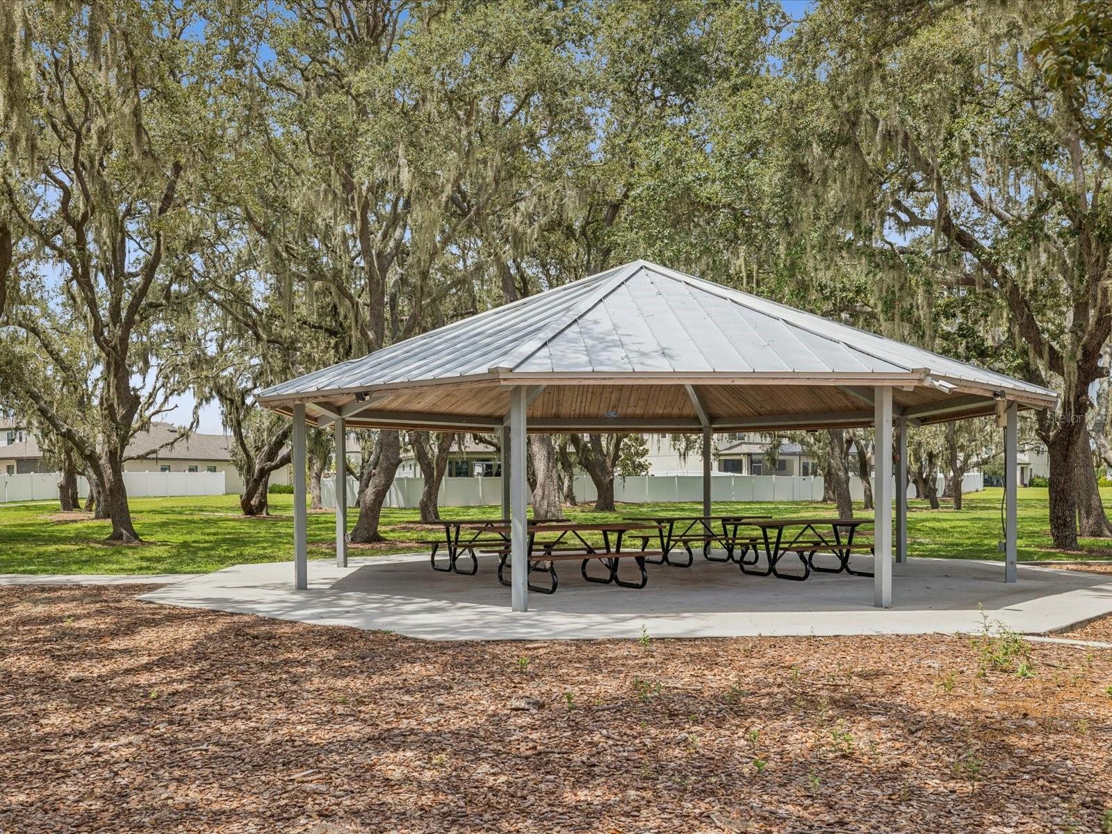Listing photo id 52 for 12925 Satin Lily Drive
