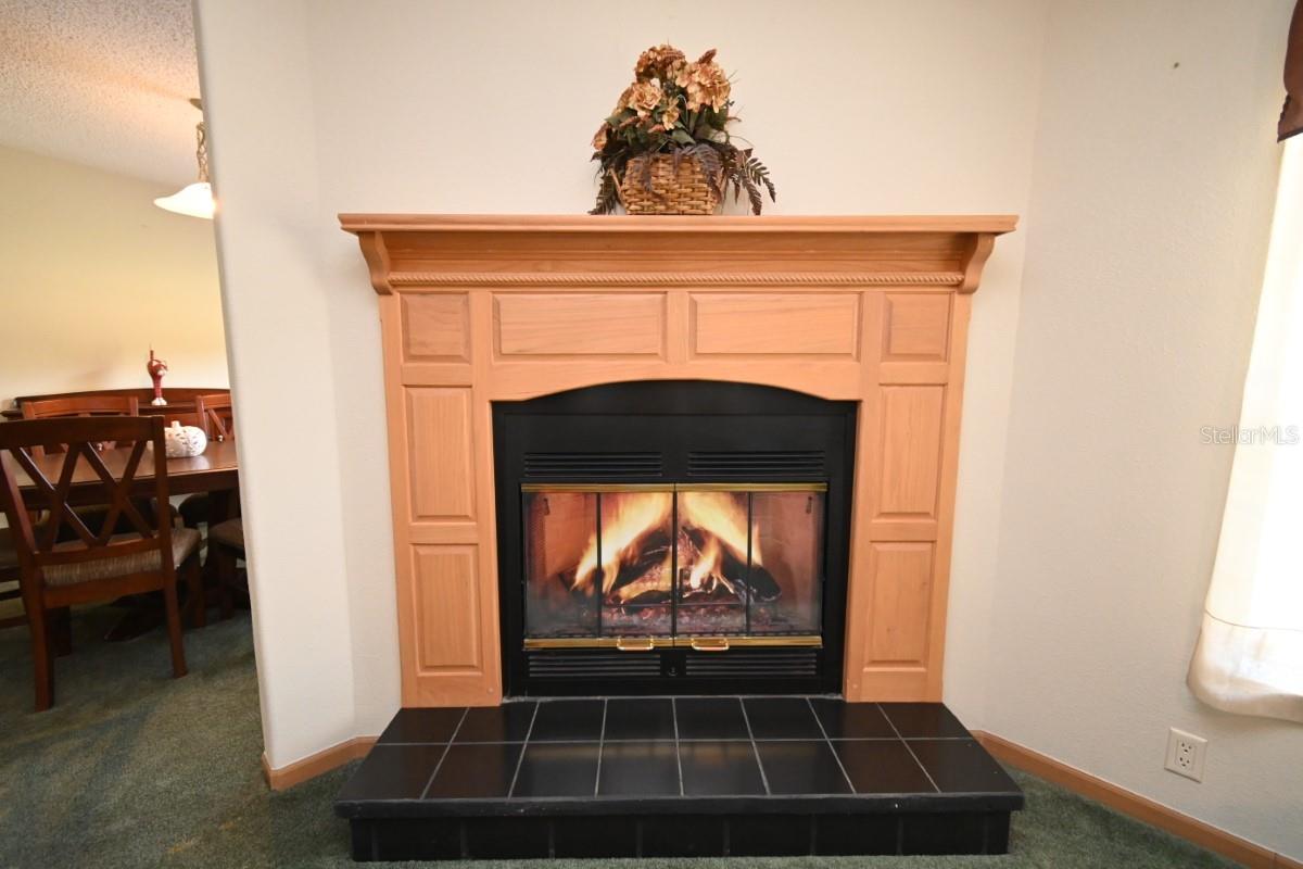 Image 14 of 61 For 8205 Irene Street
