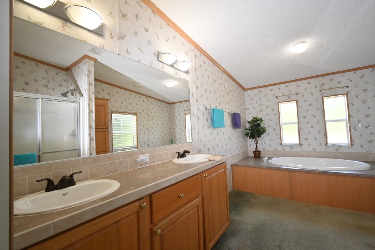 Image 30 of 61 For 8205 Irene Street