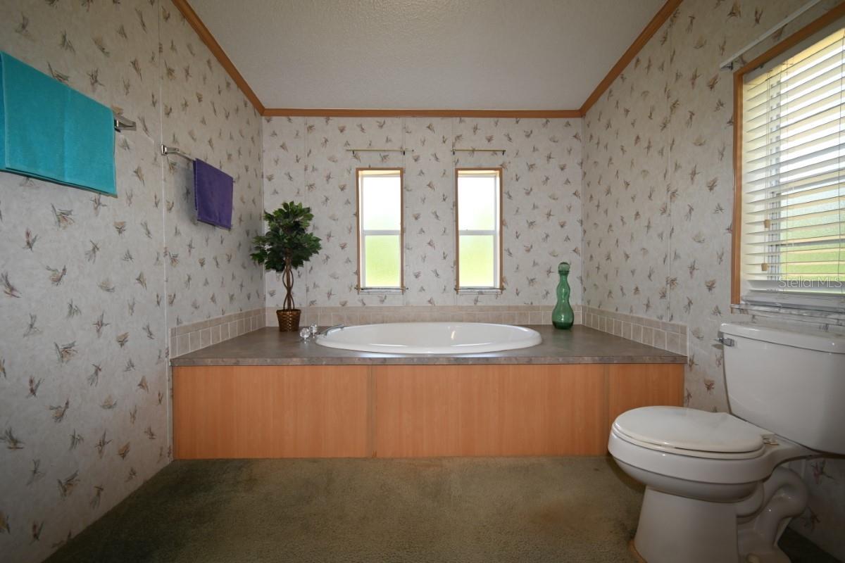 Image 31 of 61 For 8205 Irene Street