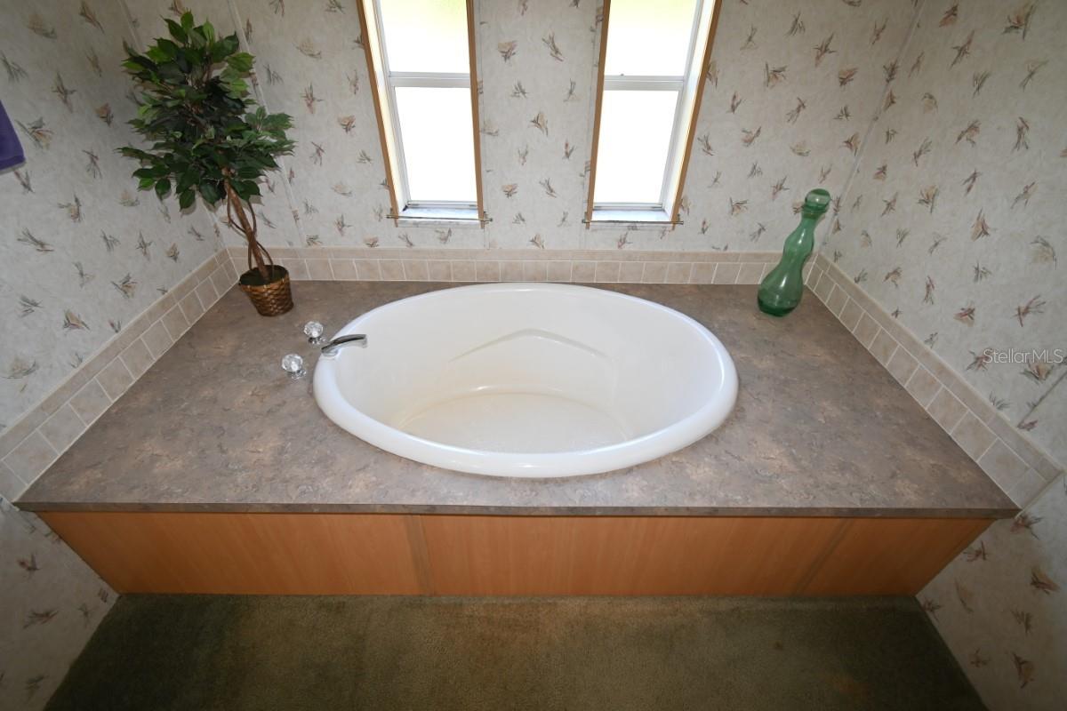 Image 32 of 61 For 8205 Irene Street