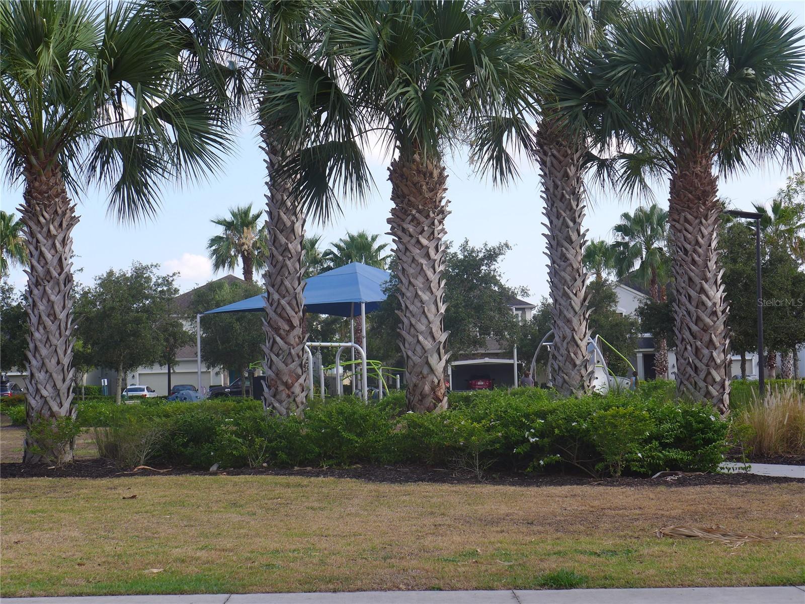 Image 31 of 73 For 11054 Spring Point Circle