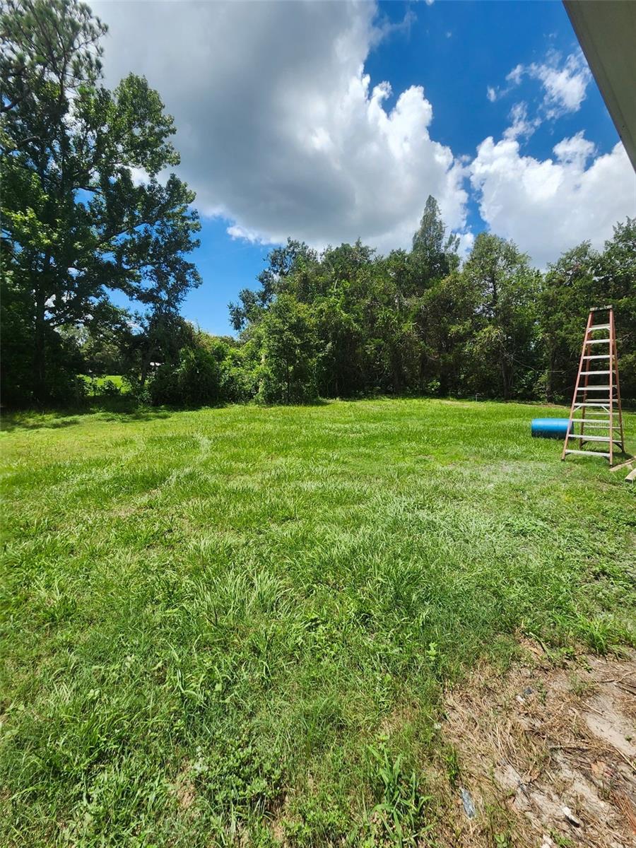 Image 12 of 35 For 23334 Brandy Road