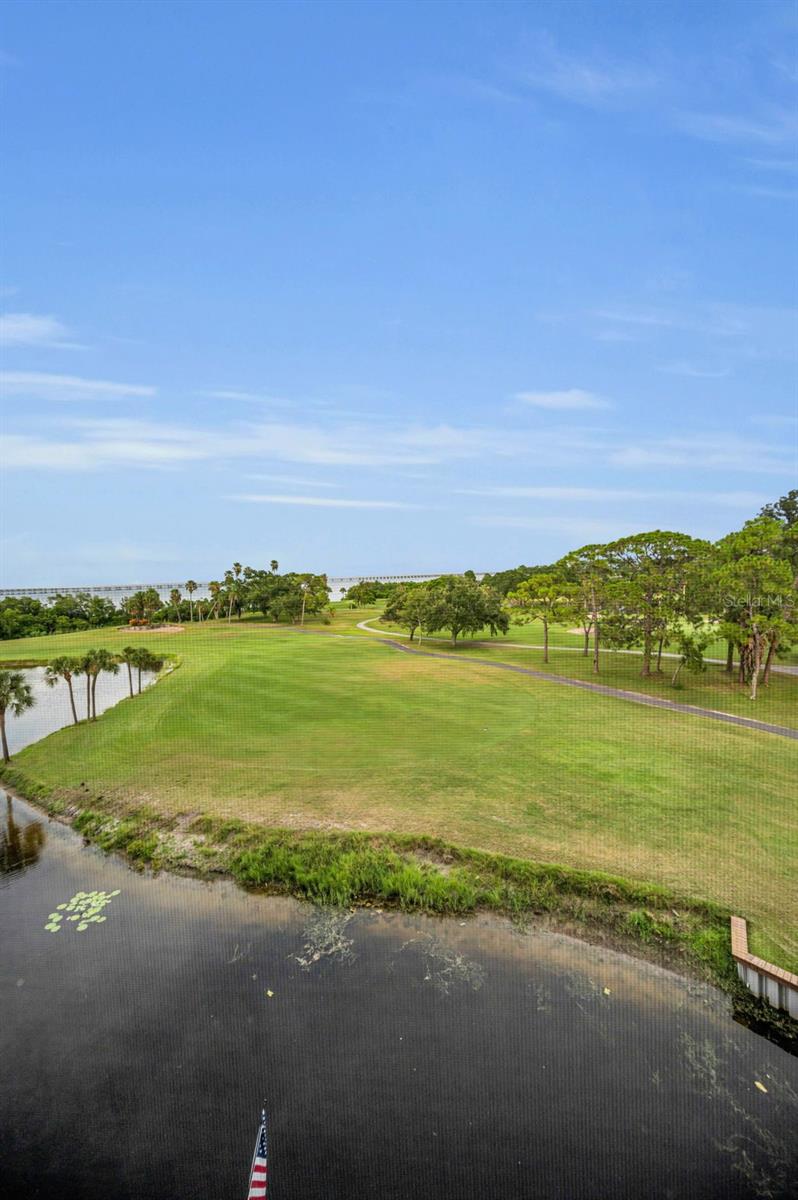 Image 24 of 96 For 2620 Cove Cay Drive 506