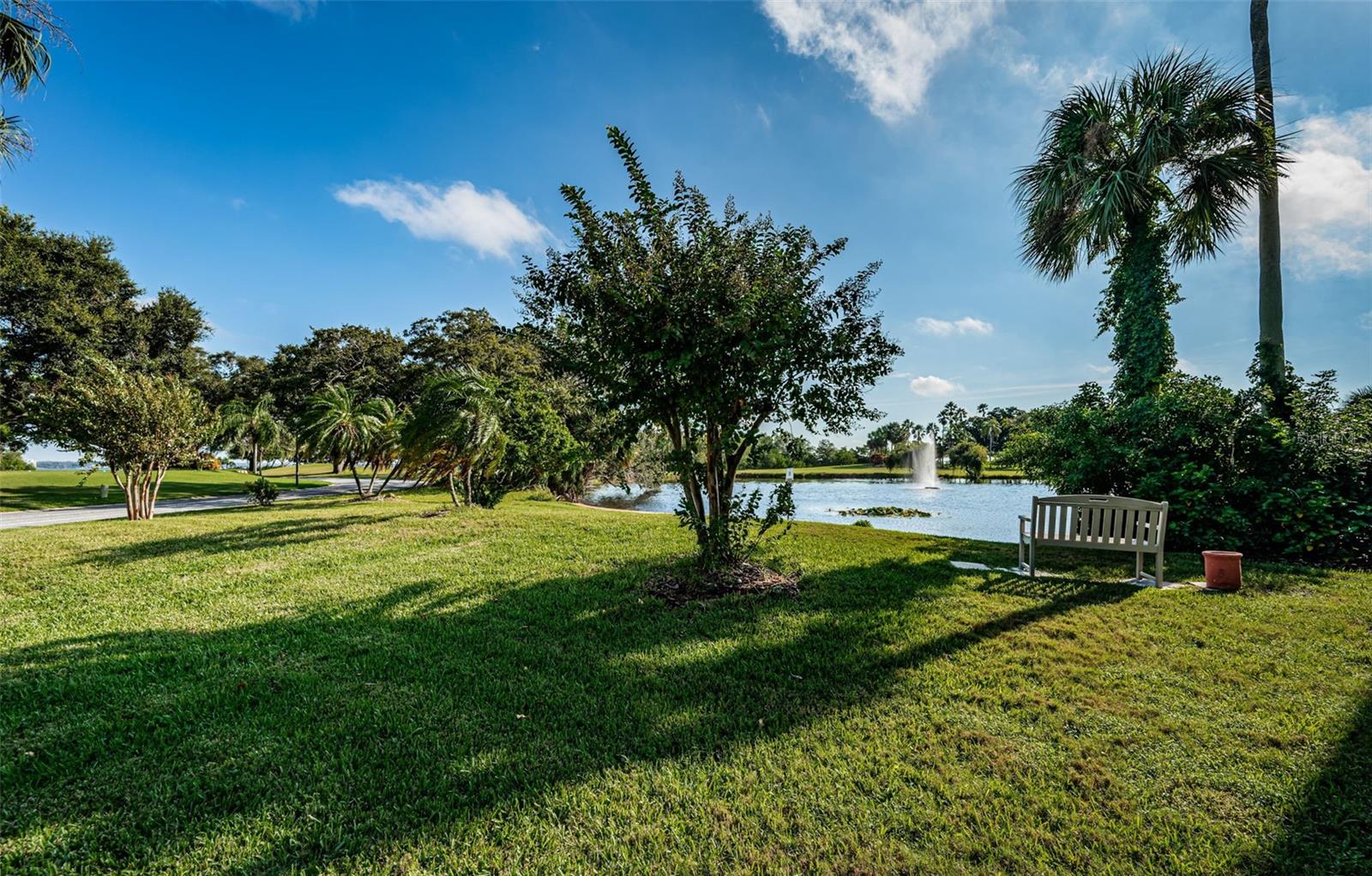 Image 59 of 96 For 2620 Cove Cay Drive 506