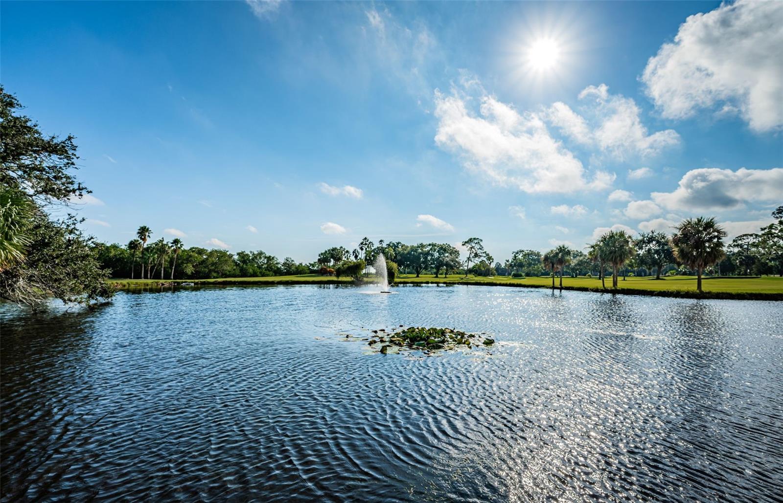 Image 60 of 96 For 2620 Cove Cay Drive 506