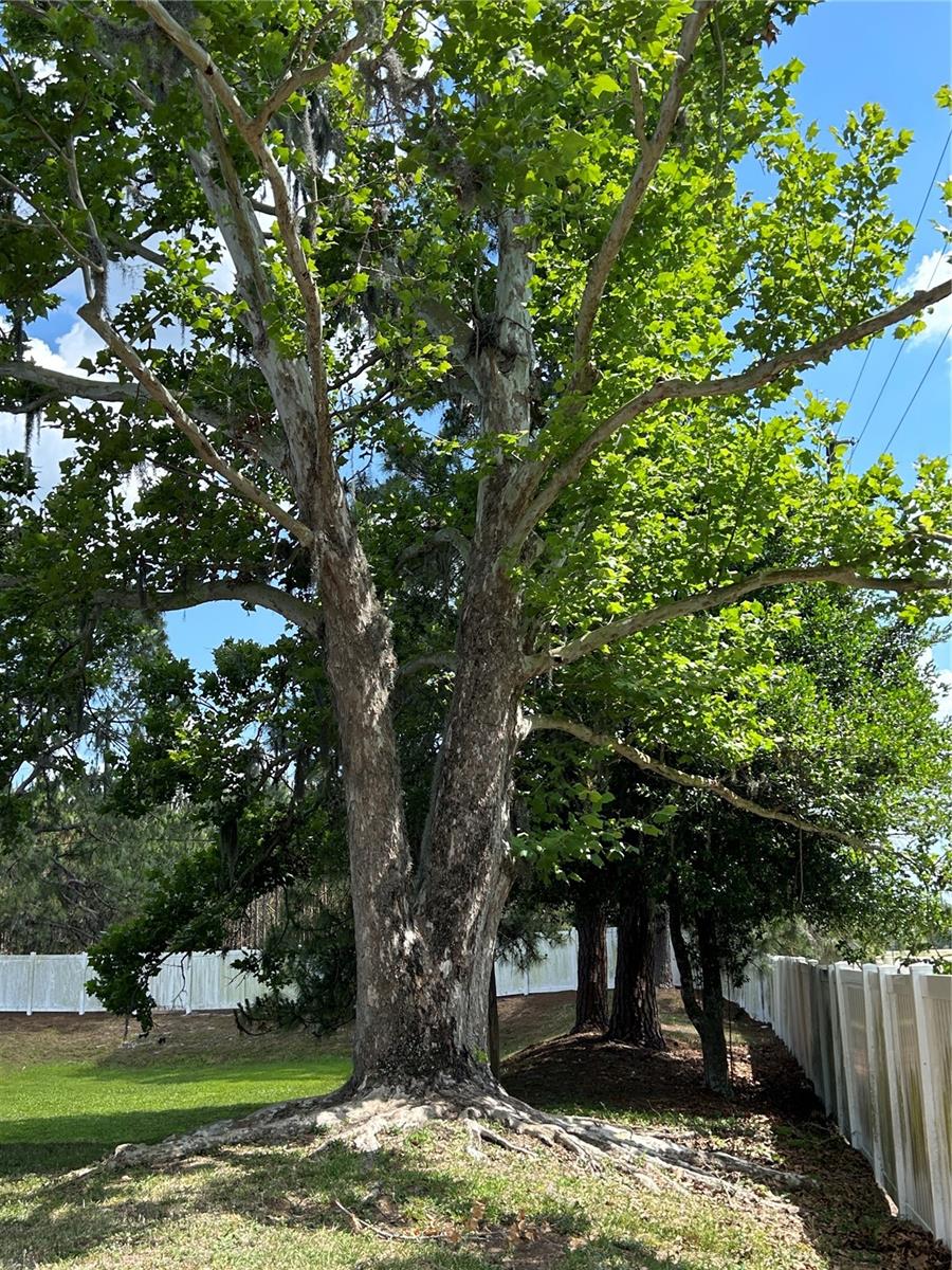 Image 18 of 18 For 21032 Voyager Boulevard 4