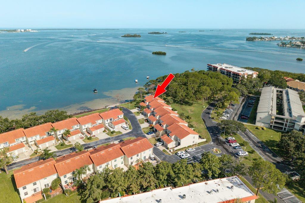 Image 2 of 71 For 2700 Bayshore Boulevard 505