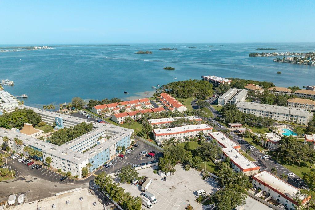 Image 50 of 71 For 2700 Bayshore Boulevard 505