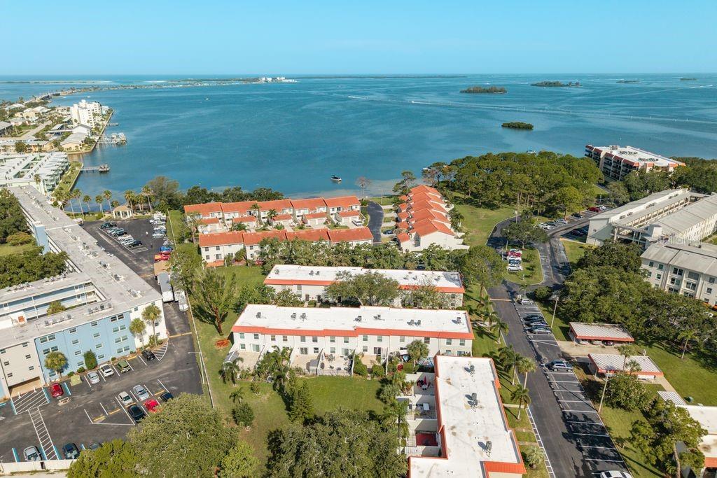 Image 51 of 71 For 2700 Bayshore Boulevard 505