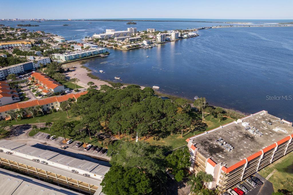 Image 52 of 71 For 2700 Bayshore Boulevard 505
