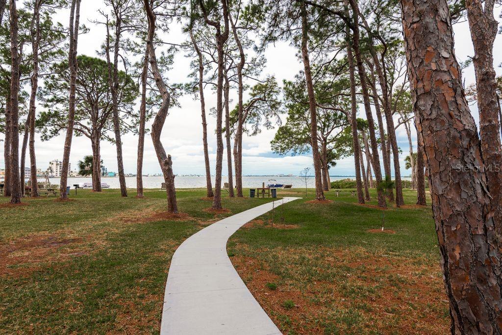 Image 61 of 71 For 2700 Bayshore Boulevard 505