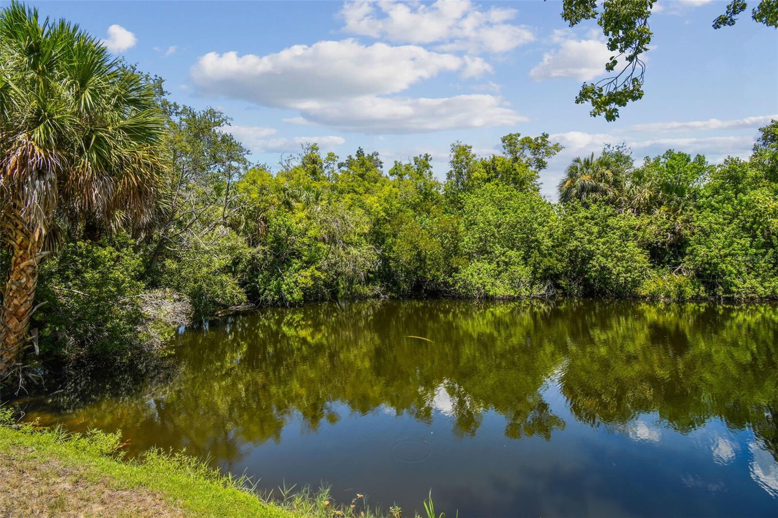 Image 19 of 23 For 4244 Tamargo Drive 4244