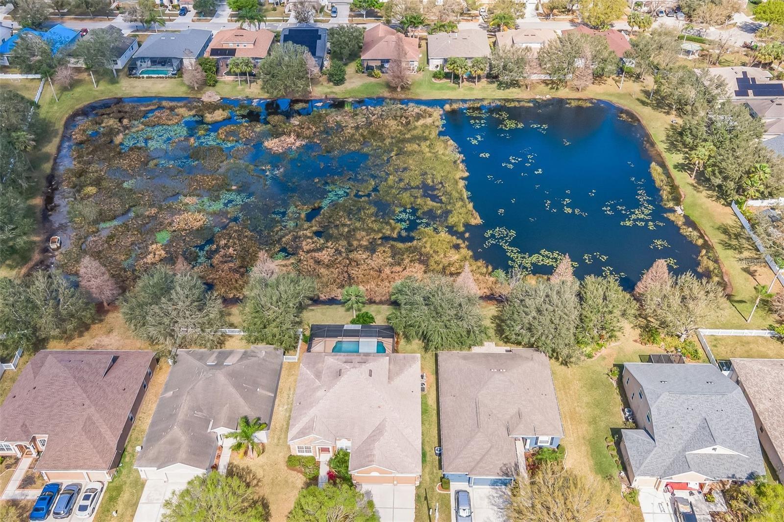 Image 3 of 22 For 11713 Summer Springs Drive